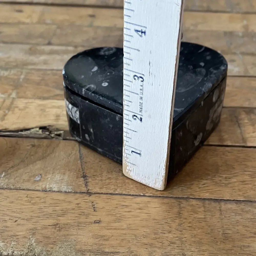 Orthoceras Fossil Heart Shaped Trinket Box 4